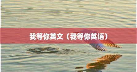 我等你英文（我等你英语）