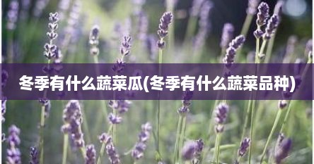 冬季有什么蔬菜瓜(冬季有什么蔬菜品种)