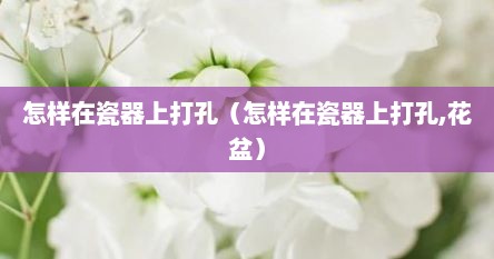 怎样在瓷器上打孔（怎样在瓷器上打孔,花盆）