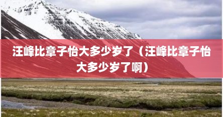 汪峰比章子怡大多少岁了（汪峰比章子怡大多少岁了啊）