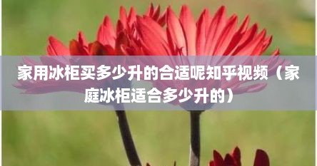 家用冰柜买多少升的合适呢知乎视频（家庭冰柜适合多少升的）
