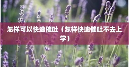 怎样可以快速催吐（怎样快速催吐不去上学）