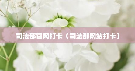 司法部官网打卡（司法部网站打卡）