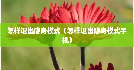 怎样退出隐身模式（怎样退出隐身模式手机）