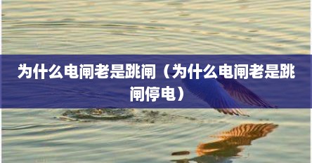 为什么电闸老是跳闸（为什么电闸老是跳闸停电）
