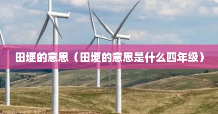 田埂的意思（田埂的意思是什么四年级）