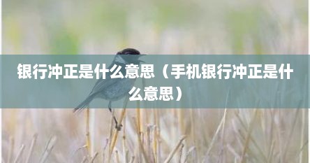 银行冲正是什么意思（手机银行冲正是什么意思）