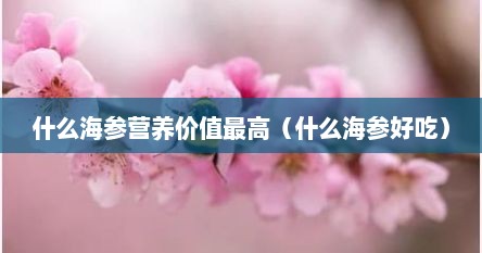 什么海参营养价值最高（什么海参好吃）