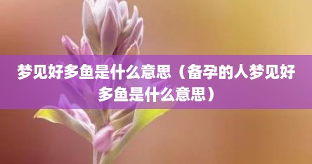 梦见好多鱼是什么意思（备孕的人梦见好多鱼是什么意思）