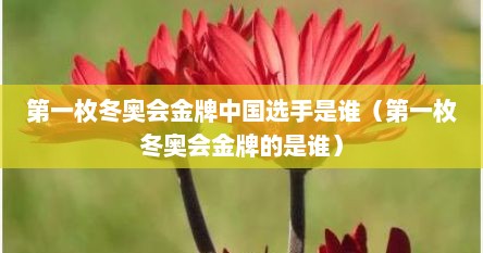 第一枚冬奥会金牌中国选手是谁（第一枚冬奥会金牌的是谁）