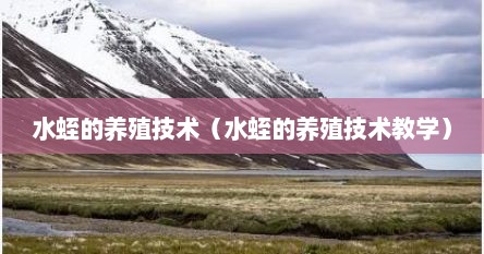 水蛭的养殖技术（水蛭的养殖技术教学）