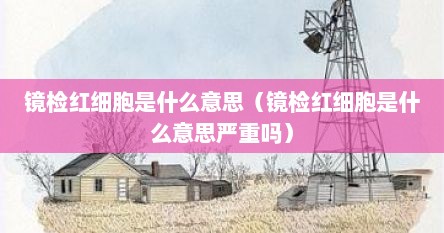 镜检红细胞是什么意思（镜检红细胞是什么意思严重吗）
