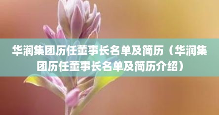 华润集团历任董事长名单及简历（华润集团历任董事长名单及简历介绍）