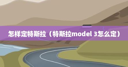 怎样定特斯拉（特斯拉model 3怎么定）