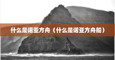 什么是诺亚方舟（什么是诺亚方舟船）