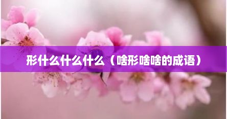 形什么什么什么（啥形啥啥的成语）