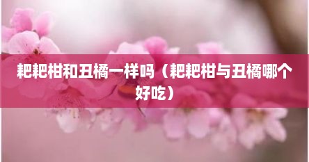 耙耙柑和丑橘一样吗（耙耙柑与丑橘哪个好吃）