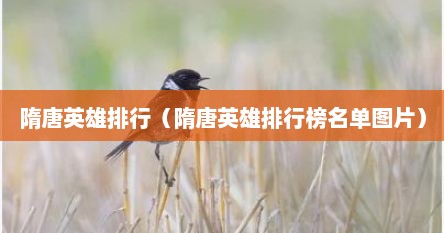 隋唐英雄排行（隋唐英雄排行榜名单图片）