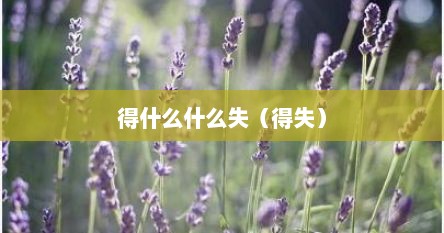 得什么什么失（得失）