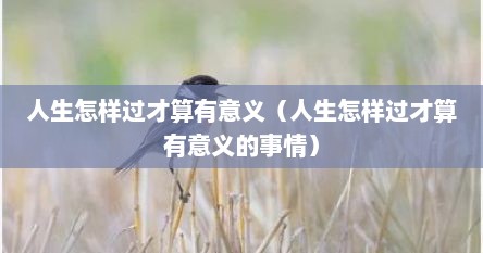 人生怎样过才算有意义（人生怎样过才算有意义的事情）