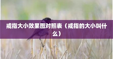 戒指大小效果图对照表（戒指的大小叫什么）