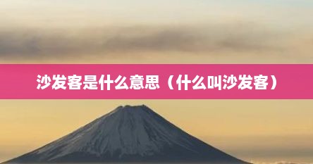 沙发客是什么意思（什么叫沙发客）