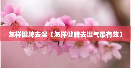 怎样健脾去湿（怎样健脾去湿气最有效）