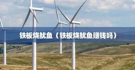 铁板烧鱿鱼（铁板烧鱿鱼赚钱吗）