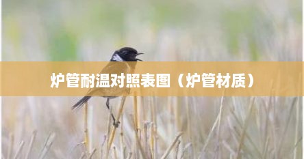 炉管详细介绍（炉管的硬度）