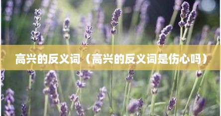 高兴的反义词（高兴的反义词是伤心吗）