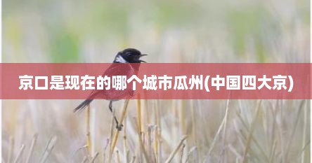 京口是现在的哪个城市瓜州(中国四大京)