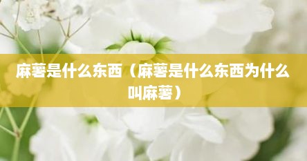 麻薯是什么东西（麻薯是什么东西为什么叫麻薯）