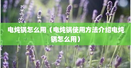 电炖锅怎么用(电炖锅使用方法介绍电炖锅怎么用) 电炖锅怎么用(电炖锅使用方法介绍电炖锅怎么用)