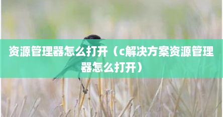 资源管理器怎么打开（c解决方案资源管理器怎么打开）