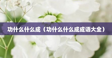 功什么什么成（功什么什么成成语大全）