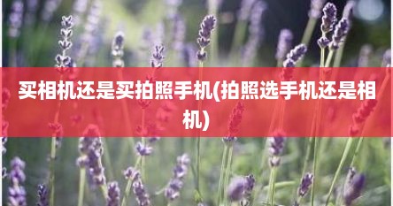 买相机还是买拍照手机(拍照选手机还是相机)