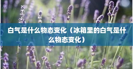 白气是什么物态变化（冰箱里的白气是什么物态变化）