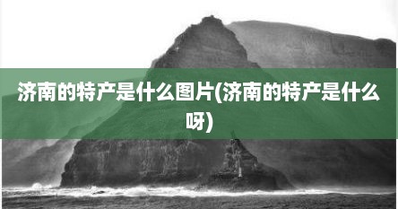 济南的特产是什么图片(济南的特产是什么呀)