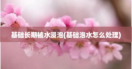 基础长期被水浸泡(基础泡水怎么处理)