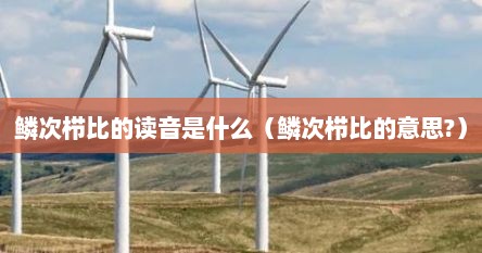 鳞次栉比的读音是什么（鳞次栉比的意思?）