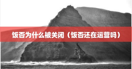 饭否为什么被关闭（饭否还在运营吗）