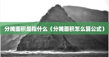 分摊面积是指什么（分摊面积怎么算公式）