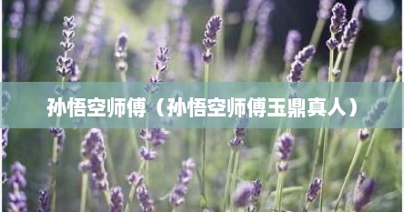 孙悟空师傅（孙悟空师傅玉鼎真人）