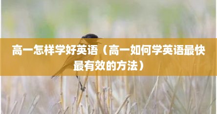 高一怎样学好英语（高一如何学英语最快最有效的方法）