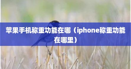 苹果手机称重功能在哪（iphone称重功能在哪里）