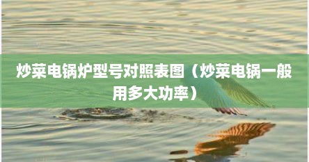 炒菜电锅炉型号对照表图（炒菜电锅一般用多大功率）