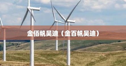 金佰帆吴迪（金百帆吴迪）