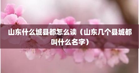 山东什么城县都怎么读（山东几个县城都叫什么名字）