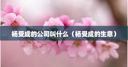 杨受成的公司叫什么（杨受成的生意）