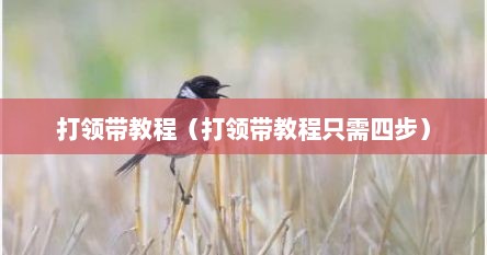打领带教程（打领带教程只需四步）